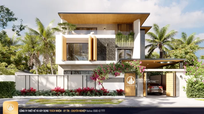 Lịch sử phát triển 